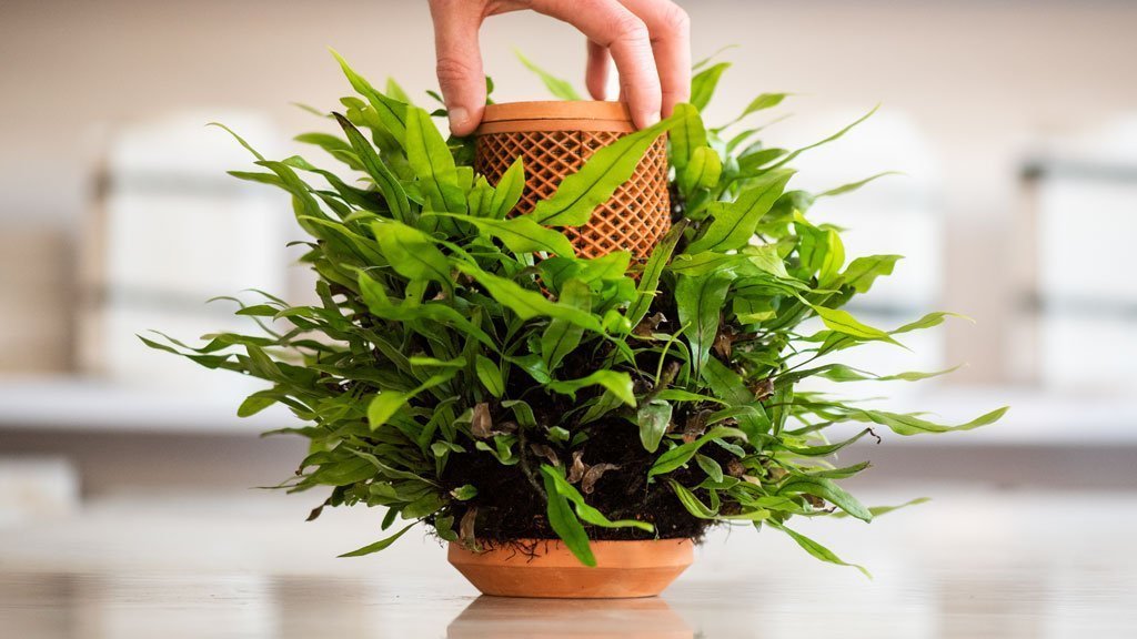 Terraplanter Hydroponic Planter