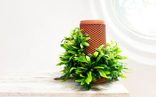 9 Reasons Why You Should Try In-Home Gardening This Year