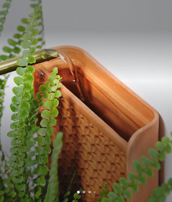 Self-Watering