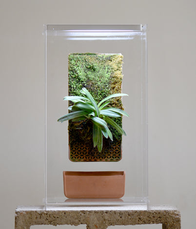 High Humidity,  Low Maintenance