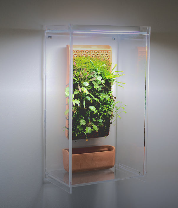 Grow Light