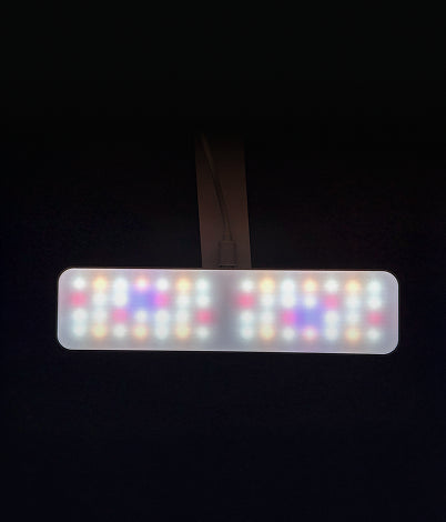 Adjustable brightness