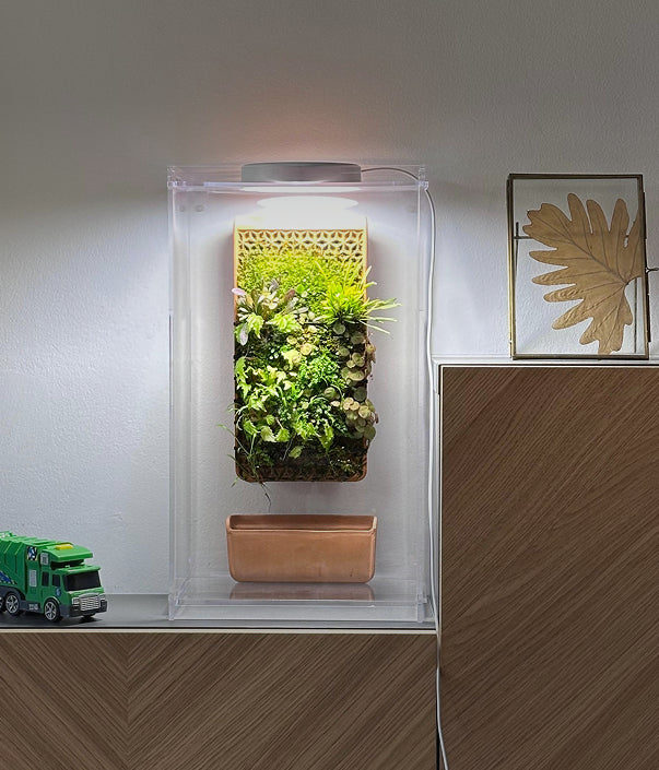 Humidity Control