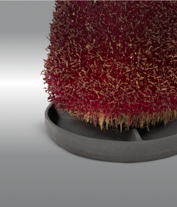 Increasing Humidity