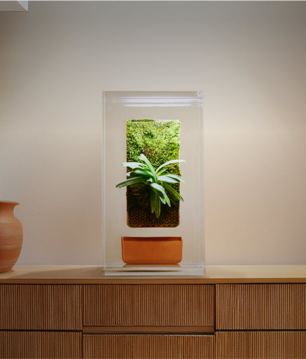 Seamless fit for your terrarium