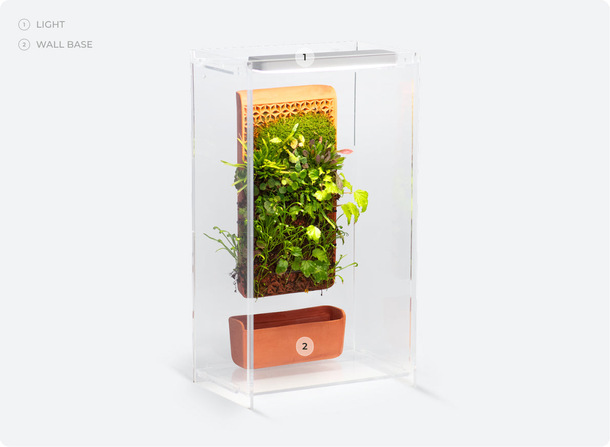 Tile Terrarium