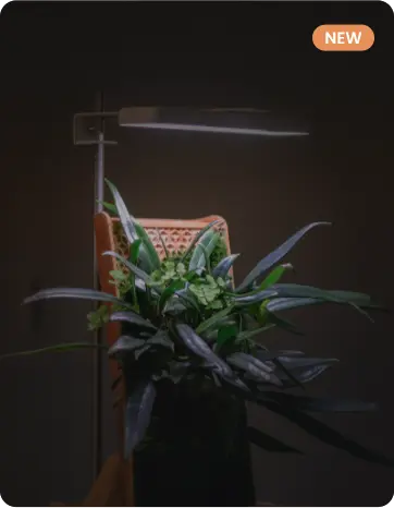 LED Grow Light