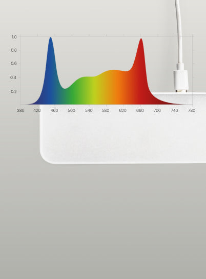 Full Spectrum Output Light