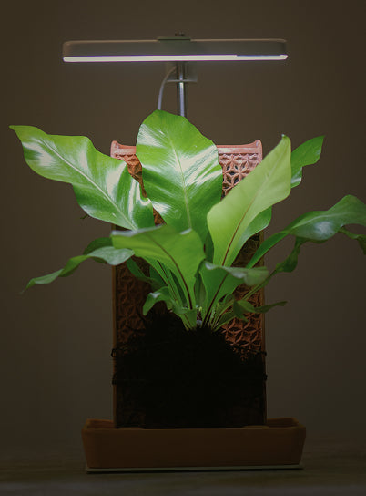 Operates on 100–240V AC,  50/60 Hz