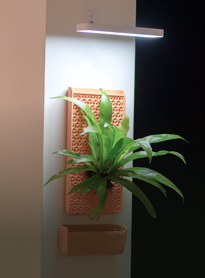 Multiple applications