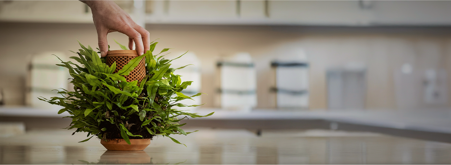 Tevaplanter planter image