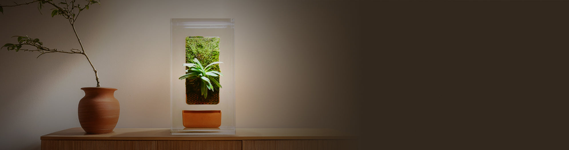 Tevaplanter planter image