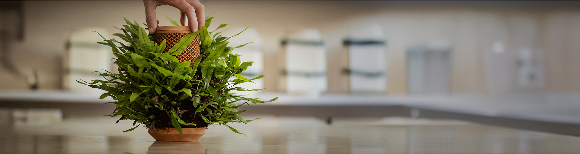 Tevaplanter planter image