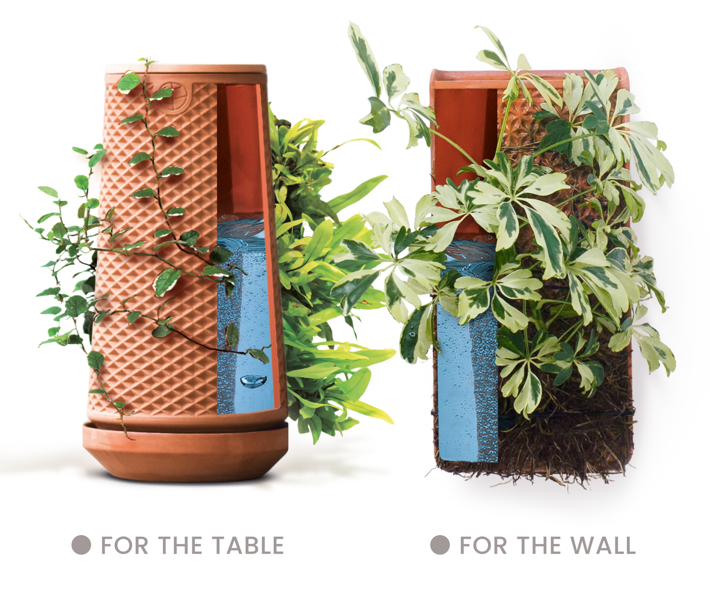 tevaplanter - visibly follow the journey from seed to plant tevaplanter - visibly follow the journey from seed to plant