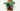 #color_terracotta
