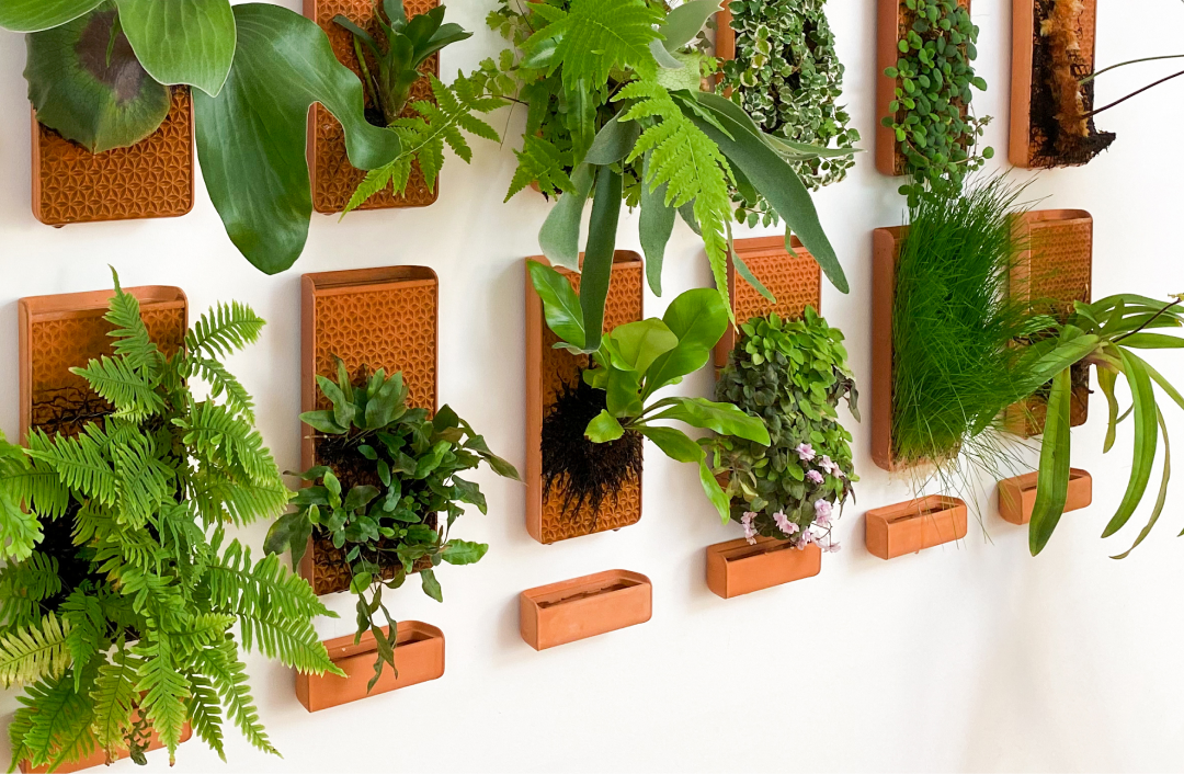base for indoor plants Wall Base – tevaplanter