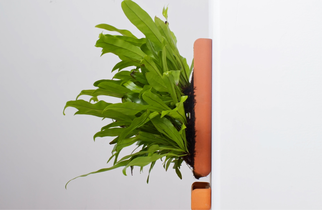 Wall Base – tevaplanter