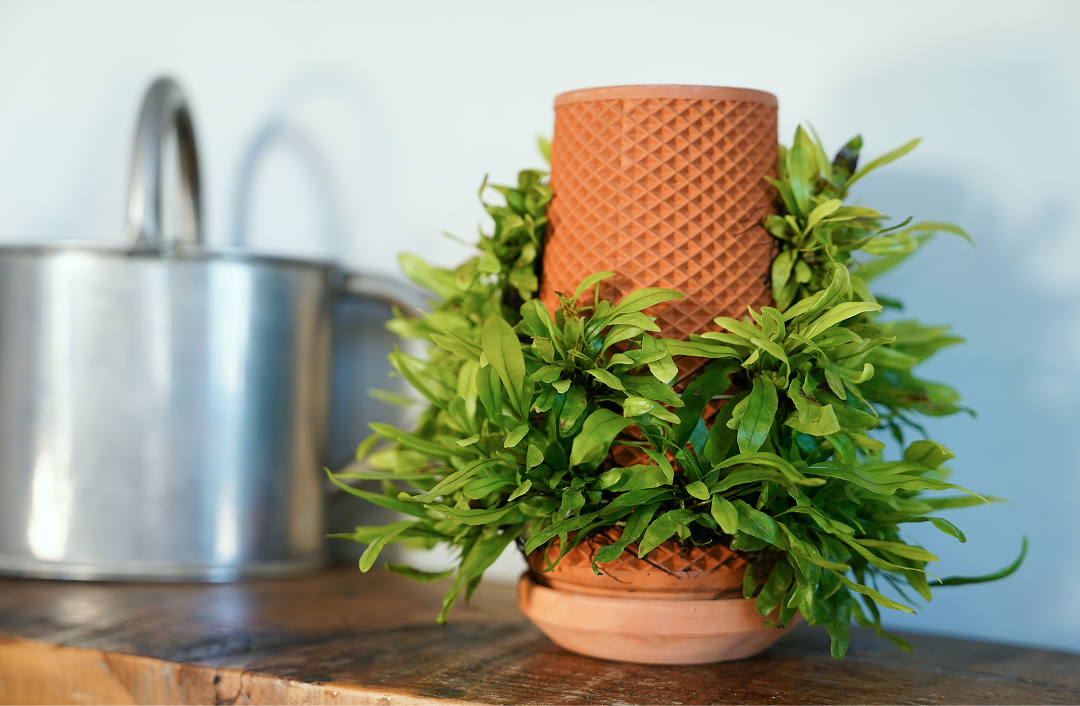 indiegogo plant pot tevaplanter
