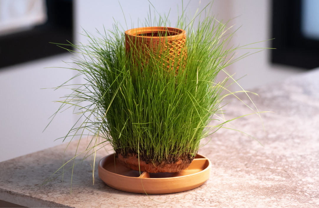 wide base plant pots the tevaplanter Slate