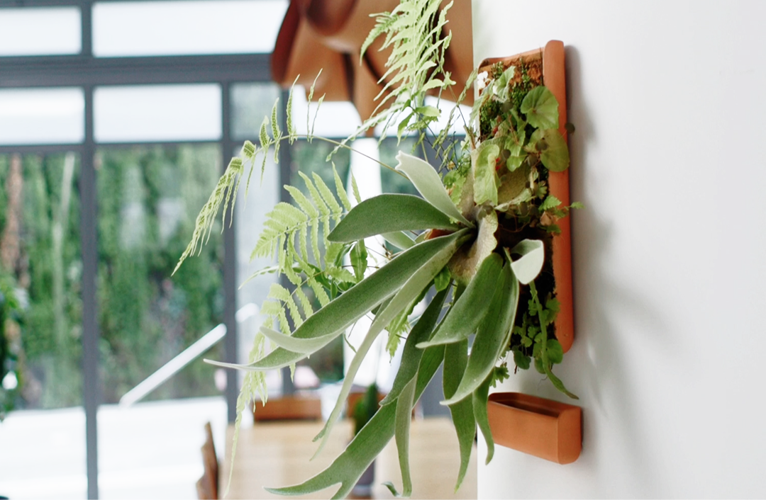 base for plant Wall Base – tevaplanter