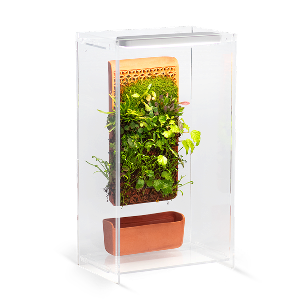 planter til terrarium Tile Terrarium – tevaplanter
