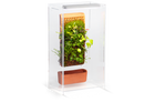 Tile Terrarium