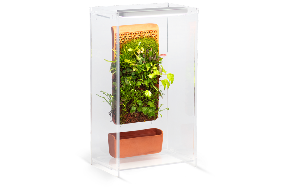 Tile Terrarium
